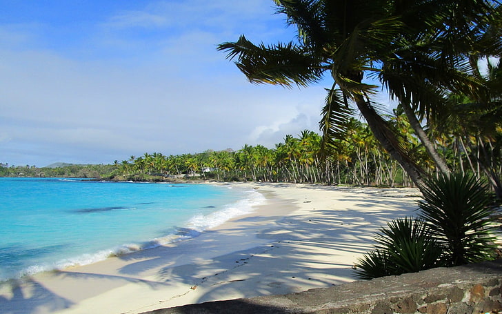 landscape, nature, beach, sand, sea, palm trees, morning, island, HD wallpaper