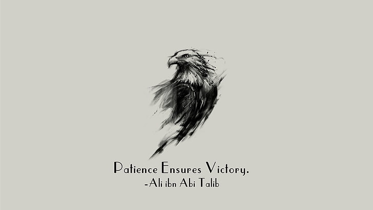 Patience Ensures Victory text, Ali ibn Abi Talib, Islam, Imam, HD wallpaper