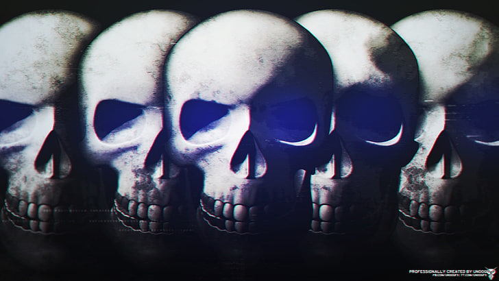 skull, bone, indoors, close-up, no people, human skeleton, still life, HD wallpaper