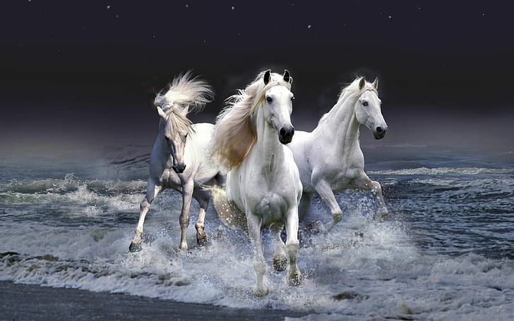Mystic Horses, HD wallpaper