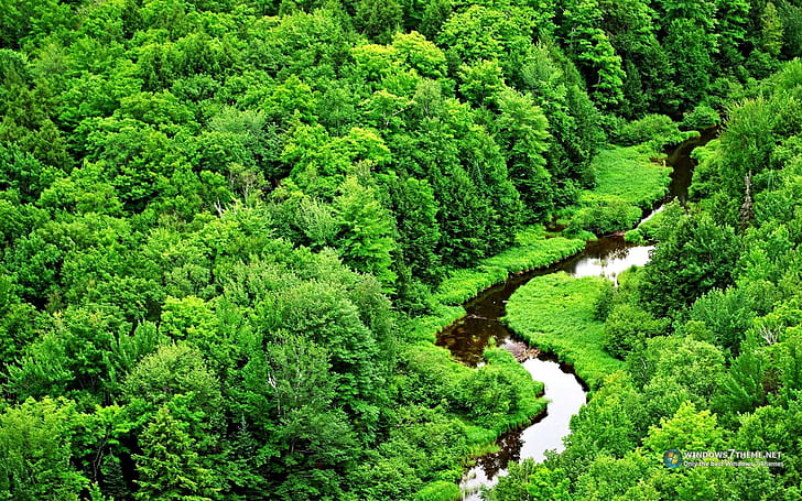 Lindo Mundo Verde, vida, agua, arvores, natureza, nature and landscapes