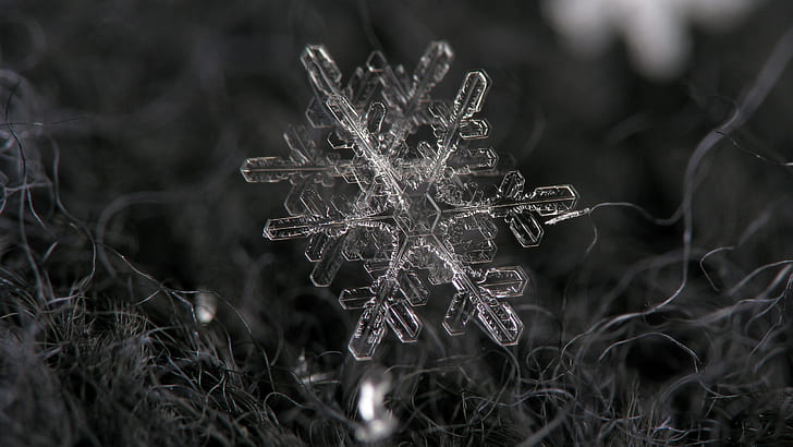 Snowflake Winter Macro BW HD, nature, HD wallpaper