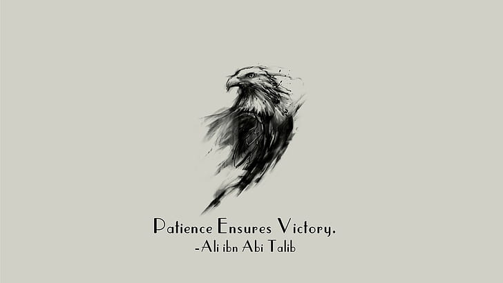 Ali Ibn Abi Talib, eagle, Imam, Islam, motivational, quote, HD wallpaper