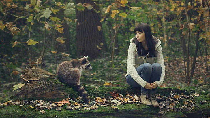 leaves, holding knees, forest, sitting, raccoons, women outdoors
