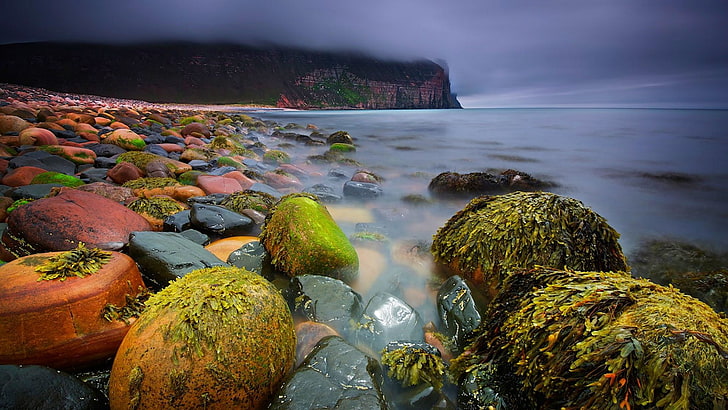 seashore with red and green stones, landscape, Scotland, beach