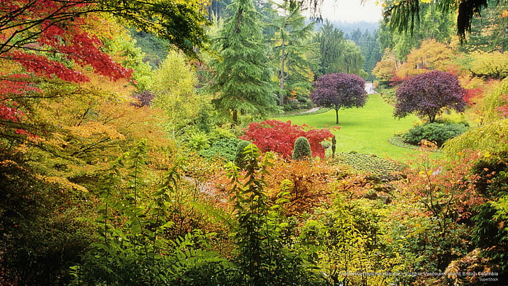 Autumn at Butchart Gardens, Victoria, Vancouver Island, British Columbia, HD wallpaper