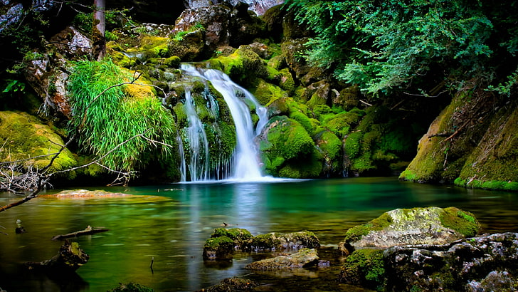 water, nature, pond, waterfall, mossy, nature reserve, body of water, HD wallpaper