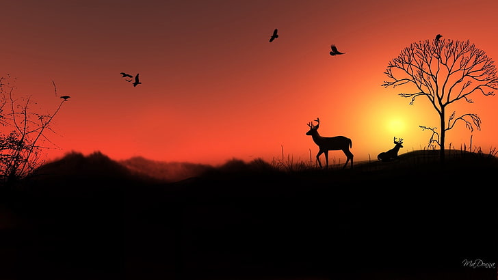 silhouette of man and woman, shadow, elk, animal themes, animal wildlife, HD wallpaper