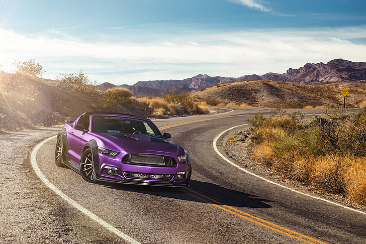 HD wallpaper: purple coupe running on gray road during daytime, Ford  Mustang GT | Wallpaper Flare