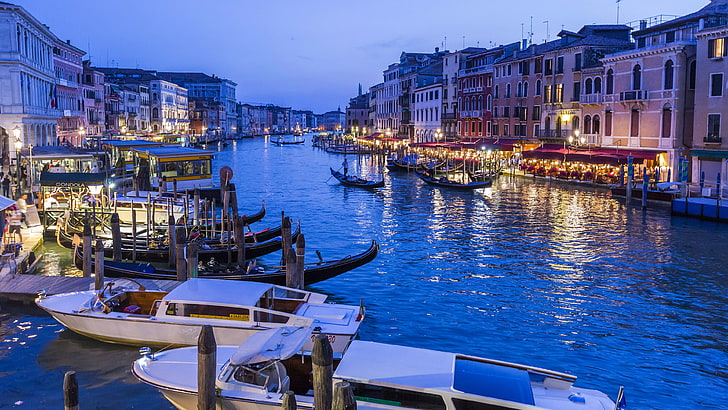 grand canal, venice, italy, europe, dusk, evening, blue hour, HD wallpaper