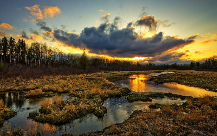 Wetlands, trees, clouds, sunset, grass, water stream, beautiful scenery