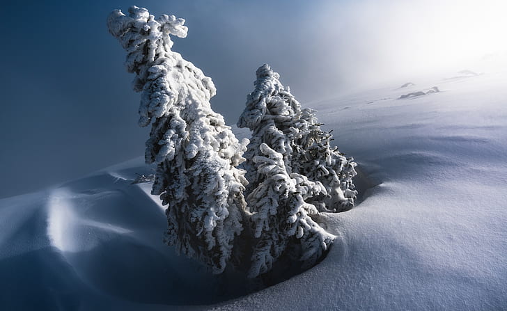 Winter Scenery, Seasons, Nature, Landscape, Trees, Mountain, Mist, HD wallpaper