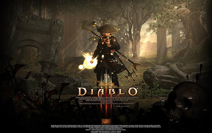 Diablo wallpaper, video games, Diablo III, burning, fire, flame, HD wallpaper