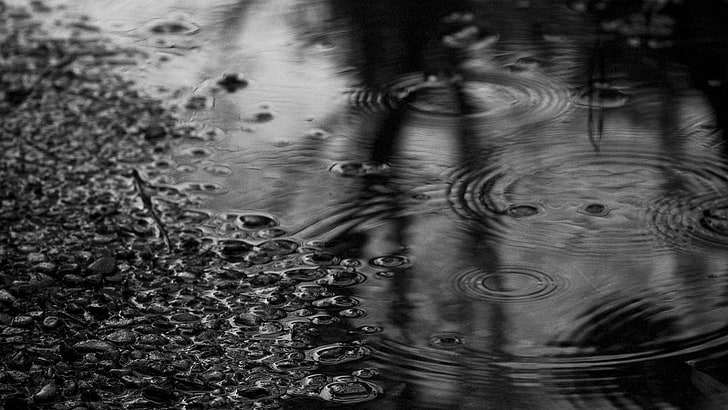 rain drops, nature, water, rippled, backgrounds, no people, day