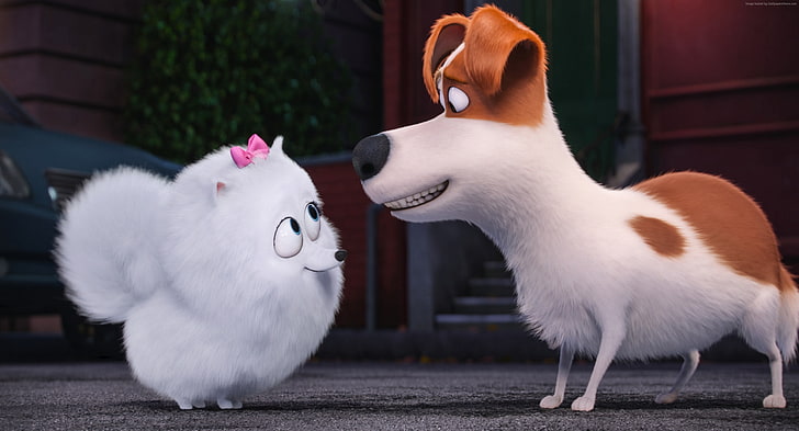 cartoon, The Secret Life of Pets, Best Animation Movies of 2016, HD wallpaper