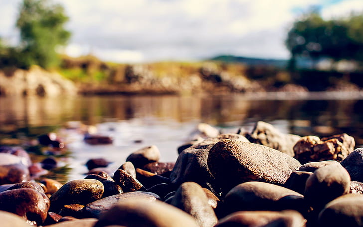 rocks, river, nature, HD wallpaper