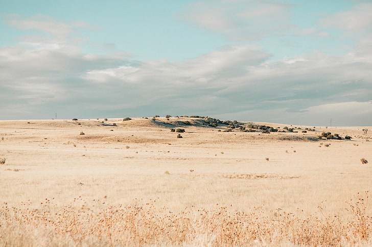 beige field, drought, grass, desert, dry, nature, landscape, sky, HD wallpaper