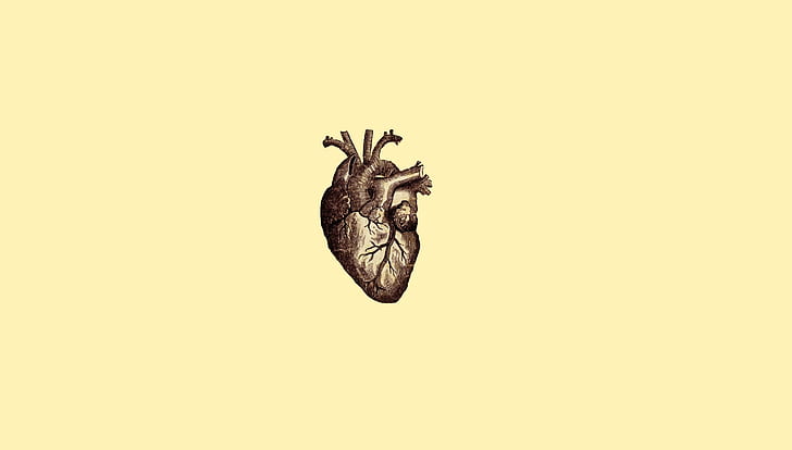 simple background, minimalism, drawing, heart, veins, anatomy, HD wallpaper
