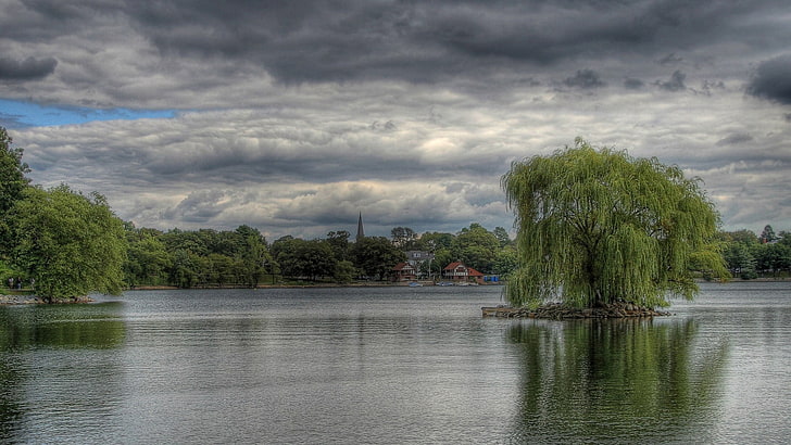 green willow tree, landscape, HDR, willow trees, willows, lake