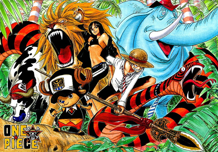 One Piece digital wallpaper, HD wallpaper