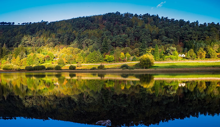 autumn, forests, ireland, reflection, rivers, wicklow