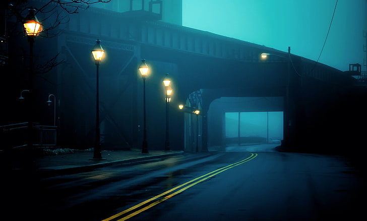 black post lamp, road, light, the city, fog, the tunnel, lights, HD wallpaper
