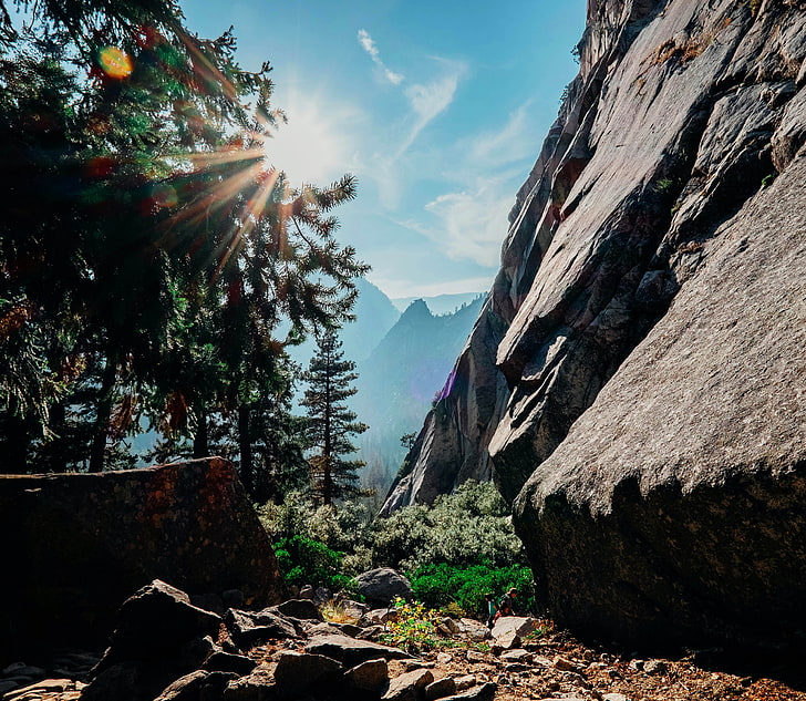 mountains, trees, Yosemite National Park, nature, sunlight, HD wallpaper