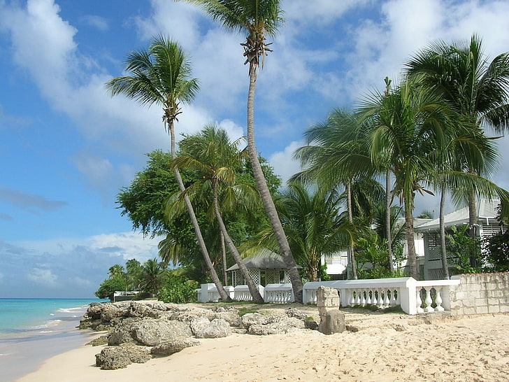 sea, palm trees, tropical climate, sky, beach, water, land, HD wallpaper