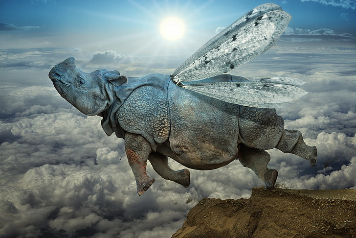 rhino with wings, flight, clouds, icarus, animal, paleontology, HD wallpaper