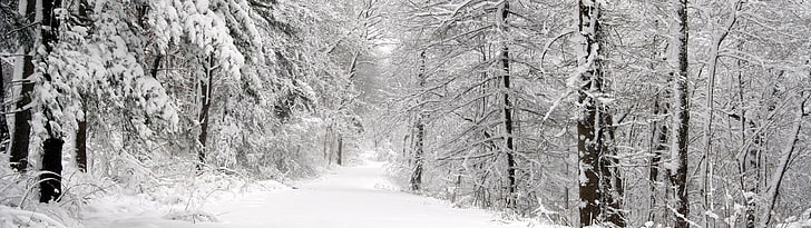 dual screen, landscape, nature, cold temperature, snow, winter, HD wallpaper