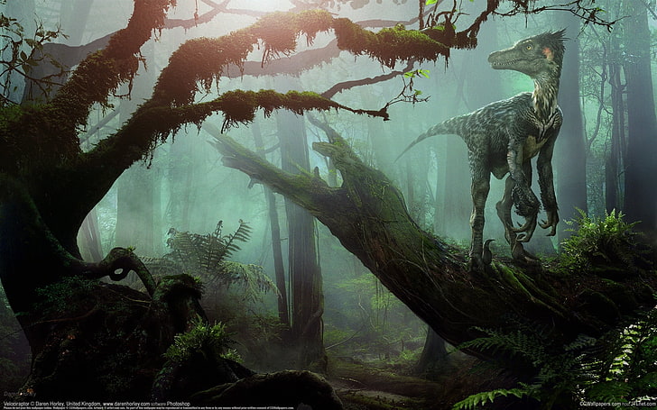 dinosaur digital wallpaper, forest, Daren Horley, VelociRaptor