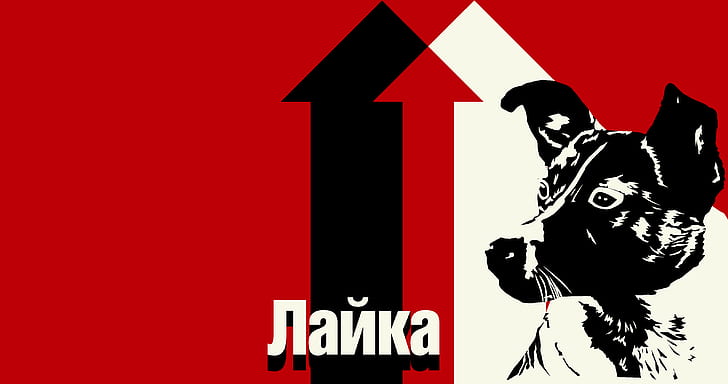 Ahoy, Laika, USSR, Soviet Union, dog, HD wallpaper