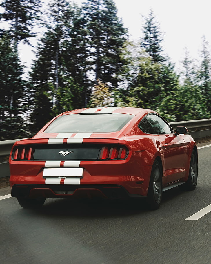 HD wallpaper: red Ford Mustang coupe, auto, movement, car, land Vehicle,  speed | Wallpaper Flare