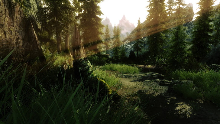 green pine trees, The Elder Scrolls V: Skyrim, video games, plant