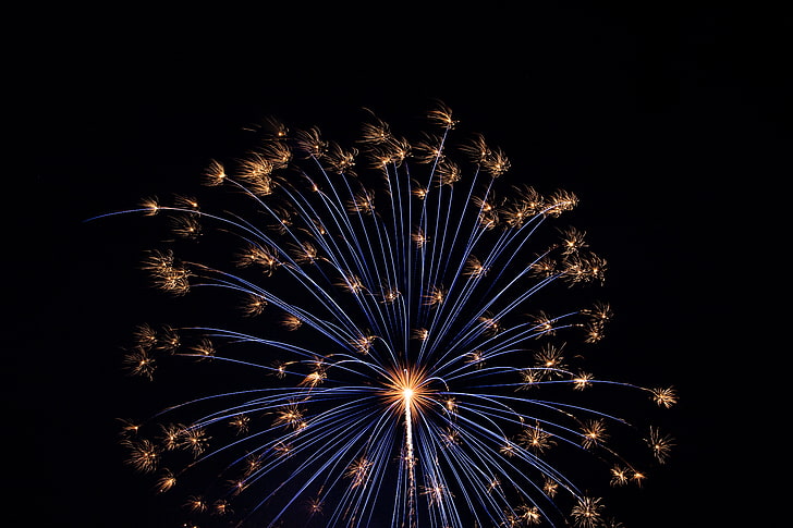 fireworks display, salute, holiday, celebration, night, exploding