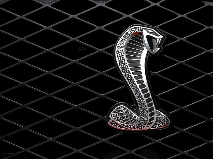 Grille métallique cobra