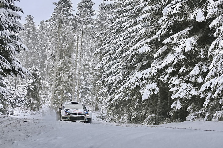 white car, Winter, Forest, Volkswagen, Machine, WRC, Rally, Rides