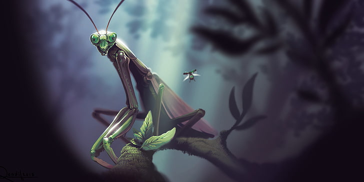 Praying Mantis, insect, Lorenzo Lanfranconi, macro, leaves, HD wallpaper