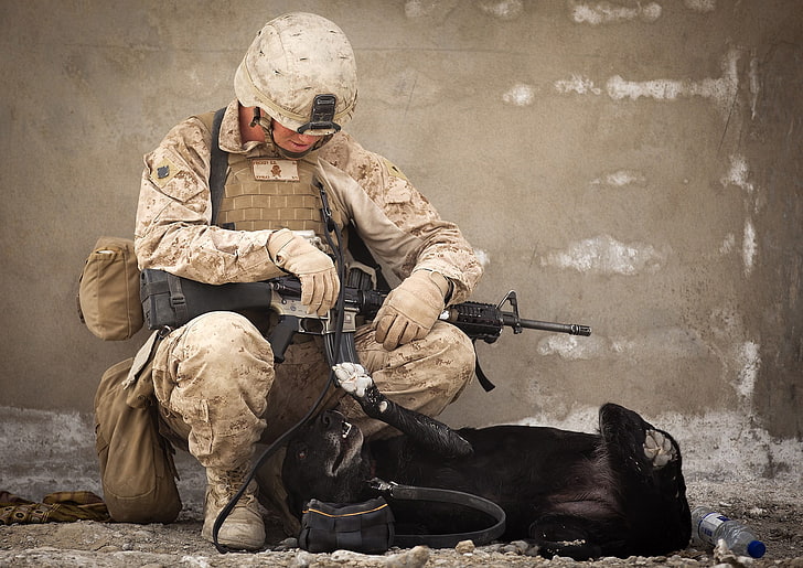 black assault rifle, soldier, dog, animals, military, helmet, HD wallpaper
