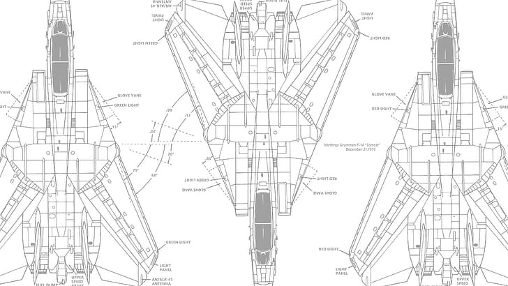 Grumman F-14 Tomcat, jet fighter, United States Navy, airplane