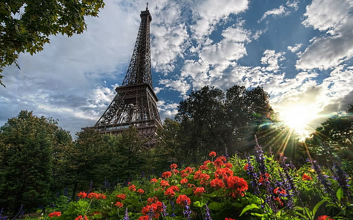 cityscape, Paris, Eiffel Tower, France