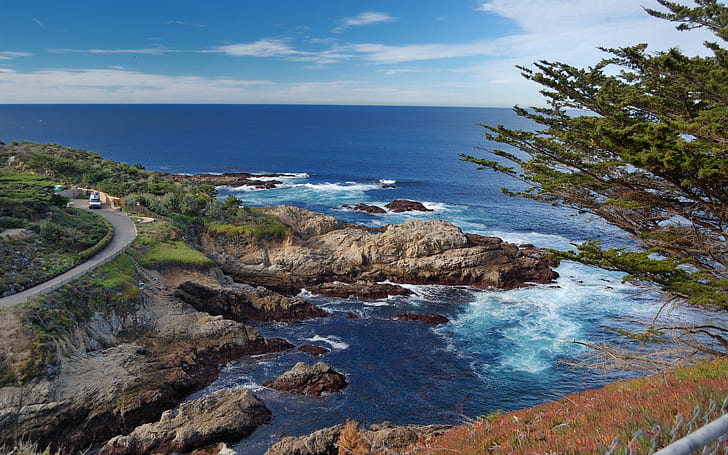Point Lobos Preserve, Hwy 1, Carmel, California 74027