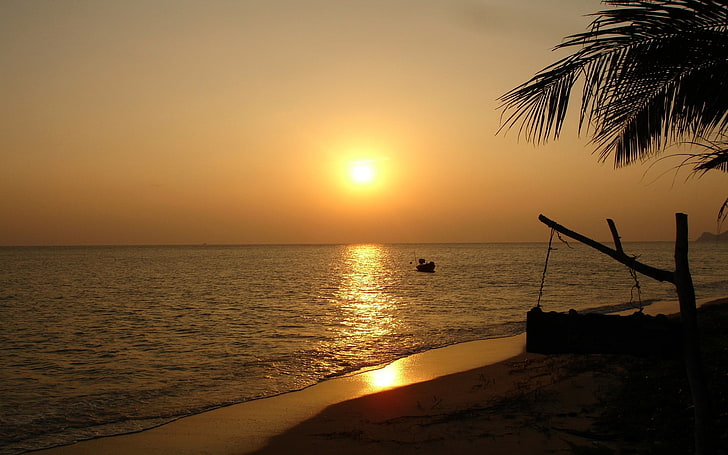 palm tree silhouette, Thailand, sunset, beach, landscape, water, HD wallpaper