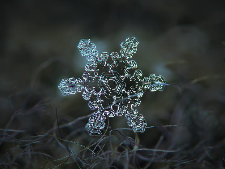 HD wallpaper: photography of crustal snowflake, Real, Slight, asymmetry,  explore | Wallpaper Flare