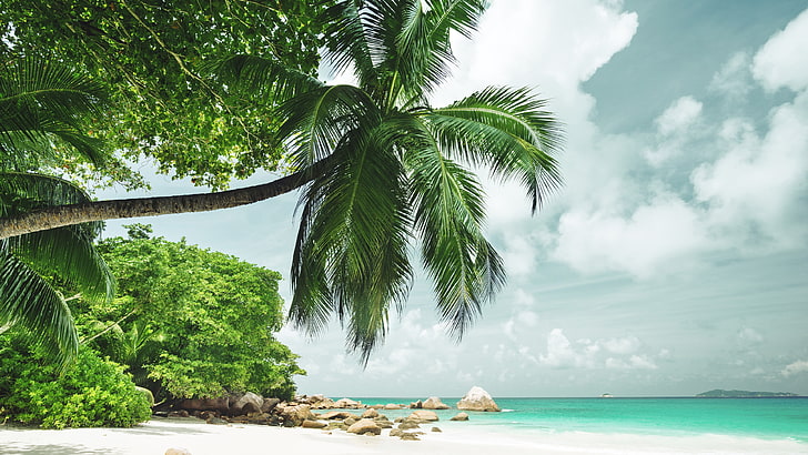 beach, tropical island, tropical beach, cloud, lagoon, sea, HD wallpaper