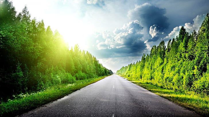 Endless Road In A Grove Of Trees, forest, clouds, nature and landscapes