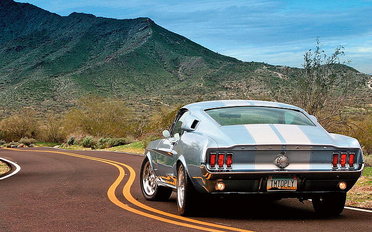 Ford Mustang Classic Car Classic Road HD, cars