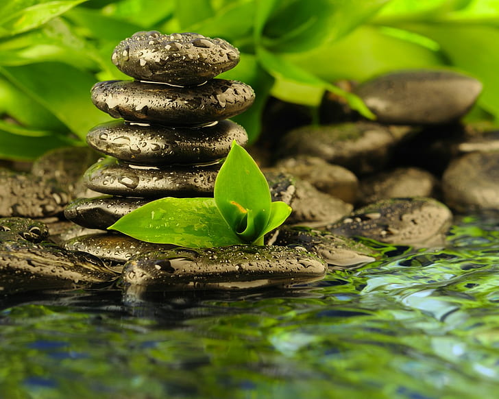 Wet Stones Zen Rocks Leaves Water Drops Water HD, nature, HD wallpaper