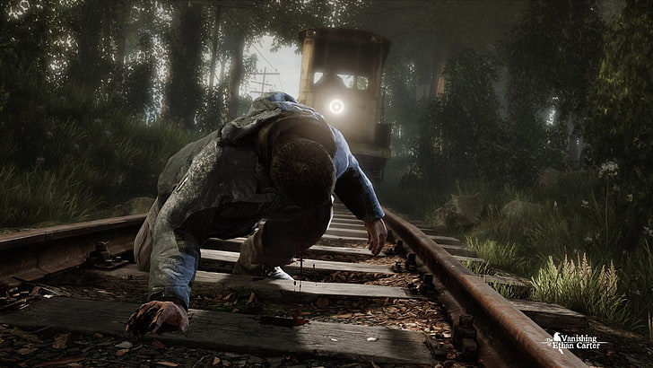 men's gray and black pullover hoodie, The Vanishing of Ethan Carter, HD wallpaper