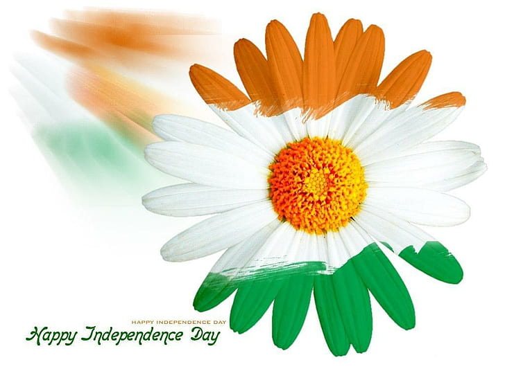 15 august, 2017, happy independence day, india flag, HD wallpaper